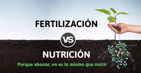 Diferencias Entre Nutrición Y Fertilización Fertirrigación