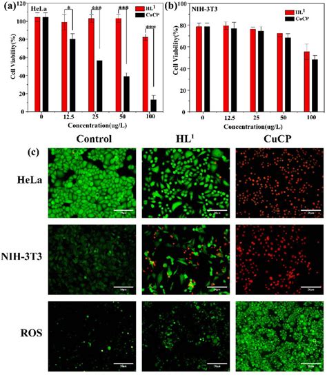 Cell Viability Of A Hela Cells And B Nih 3t3 Cells Incubated With Download Scientific