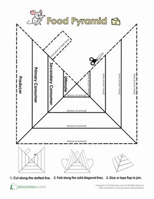 Trophic Level Pyramid Worksheet Education