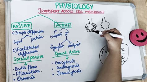 Transport Across Cell Membrane Physiology Part 1 Youtube