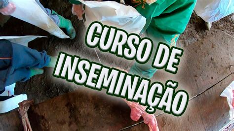 Curso De Insemina O Senar Sc Youtube