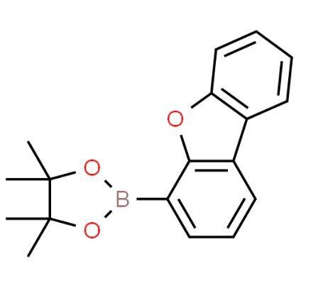 China Dibenzo B D Furan Yl Tetramethyl