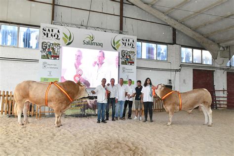 Pompidou Y Paloma Campeones Del Xiv Concurso Nacional De Raza