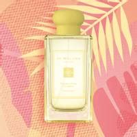 The Best Citrus Perfumes Glamour Uk