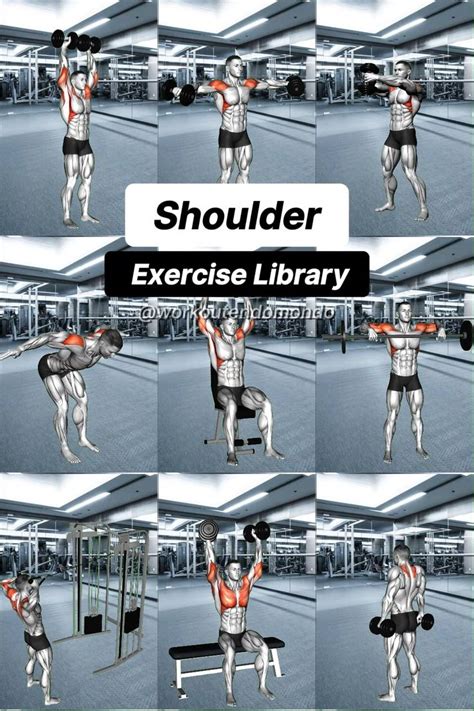 Perfect Shoulder Workout Routine Build Strength Fast In 2024