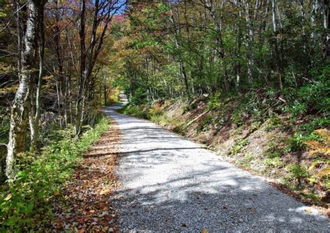 Winding Autumn Country Road | Forest Trails| Free Nature Pictures by ForestWander Nature Photography