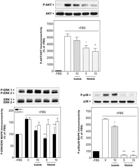 Sub Confluent Synovial Sarcoma Sw982 Cells Were Deprived Of Fetal