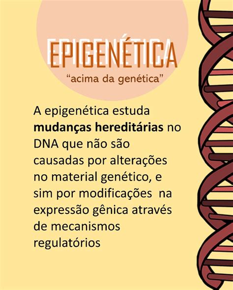 Como funciona a epigenética e como ela nos auxilia a entender como o