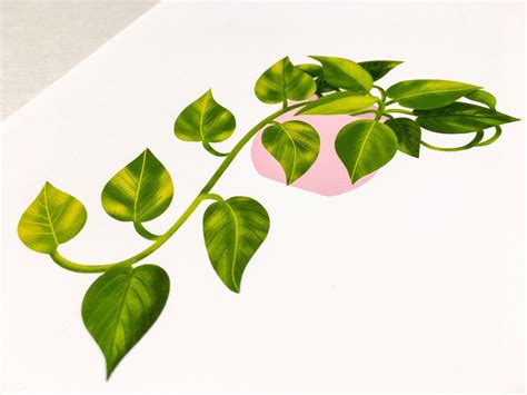 Pothos Plant Art Print Houseplant Art Print Houseplant Wall Etsy