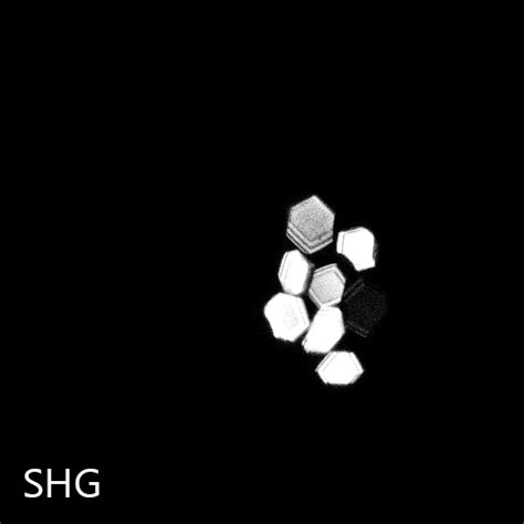 Protein Crystal Detector Sonicc By Formulatrix