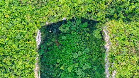 Giant Sinkhole With Ancient Underground Forest Discovered In China