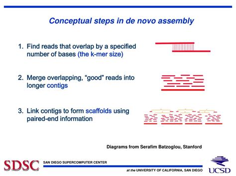 Ppt De Novo Genome Assembly Using Vsmp Powerpoint Presentation Free