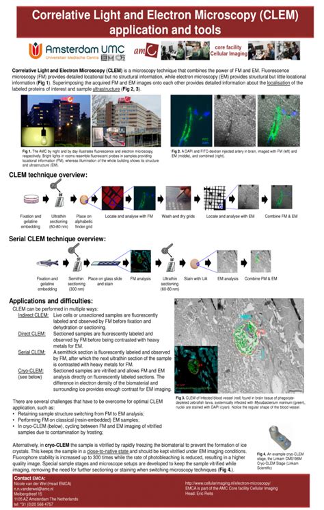 Electron Microscopy Correlative Light And Electron Microscopy Clem