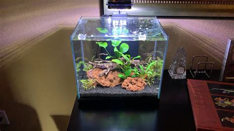 Aquatop Pisces Gallon Nano Tank Leak Disaster Averted Youtube