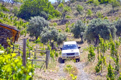 Priorat Matarra A Food Wine Tour Paladar Y Tomar