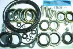 Evinrude Johnson Outboard Seal Kit