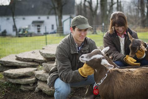 Smallholding Management Level 3 (QLS) Course - Open Learning College ...