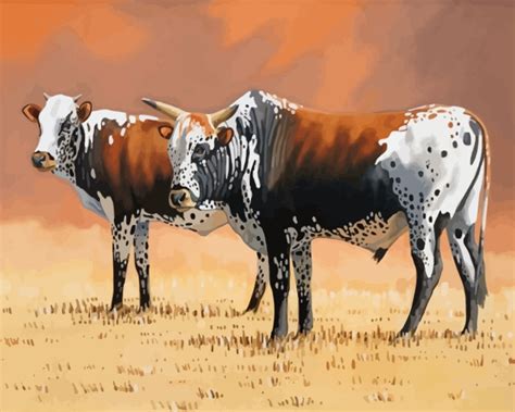 Nguni Cows Paint By Numbers Numeral Paint Kit