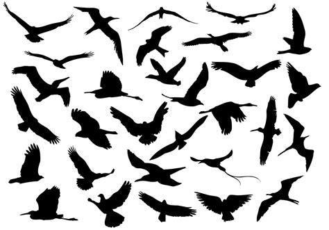 30 Flying Birds - Free Photoshop Brushes at Brusheezy!