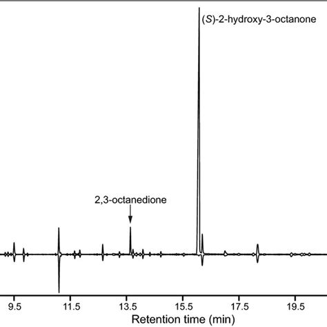 Total Ion Chromatograms Hp 5ms Column Of Headspace Volatiles