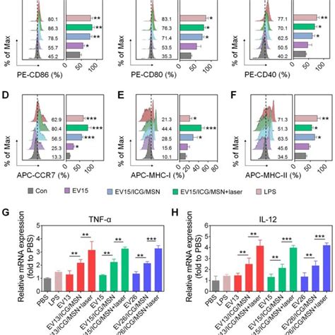 Dc Cellular Maturation Induced By Ev Coated Multi Antigenic