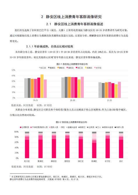 Dt财经：2018上海静安青年消费行为及消费升级趋势研究报告pdf 先导研报