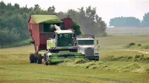 The Best Days Dairy Farming In Canada Youtube