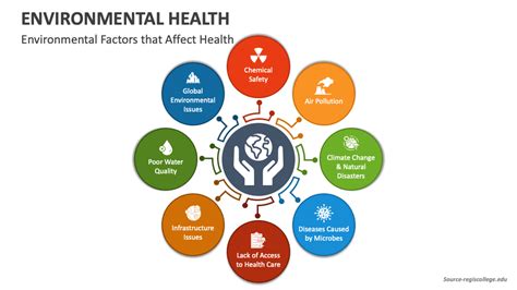 Environmental Factors Affecting Health