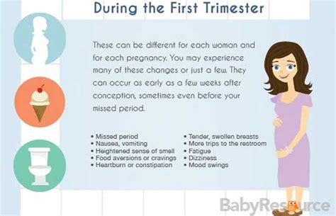 The Beginning The First Trimester Being A Thinkaholic