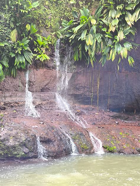 Randonn E Marche Petit Bourg Guadeloupe Saut De La L Zarde Sitytrail