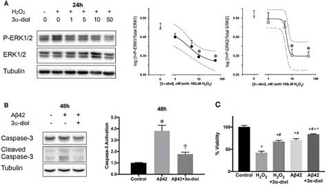 Frontiers Neurosteroid Metabolites Of Gonadal Steroid Hormones In