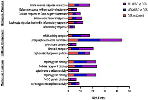 Go Enrichment Analysis Of Differentially Expressed Proteins Deps The