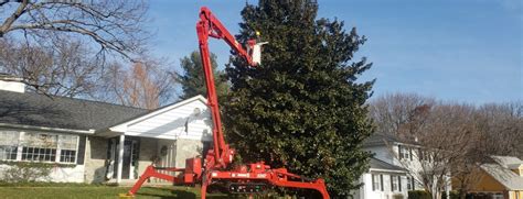 Tree Pruning is Important? When Is Tree Pruning Essential?