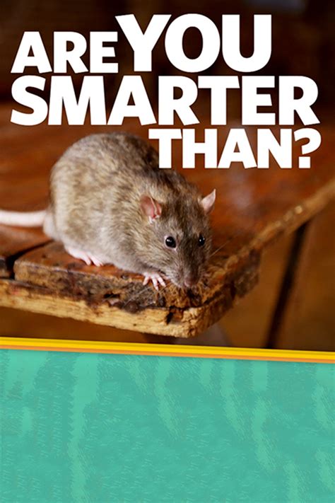 Watch Are You Smarter Than Online Season 1 2015 TV Guide