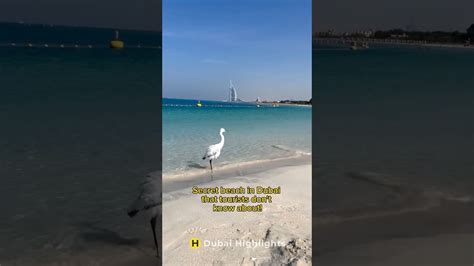 Nobody Our Special Correspondent Found A Beach In Dubai That Few