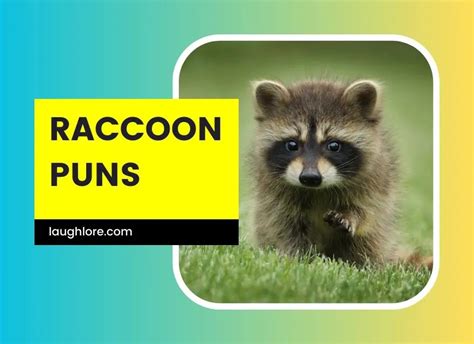 150 Raccoon Puns