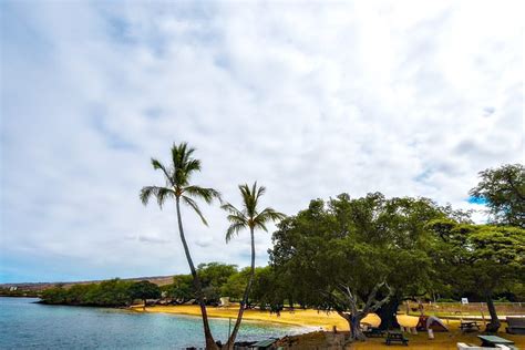 High Bacteria Levels Detected At Spencer Beach Park Big Island Now