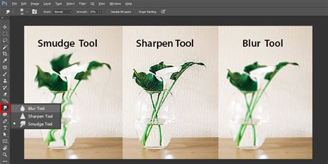 A Guide For Beginners On Photoshop Tools Mapsystems