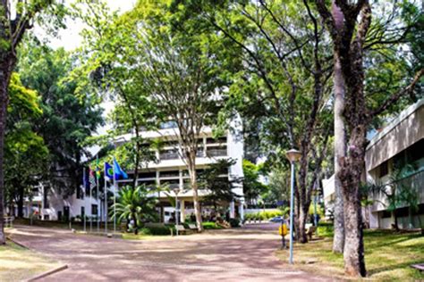 Fa A P S Gradua O Gratuitamente Na Usp Inscri Es Abertas Em Ci Ncias