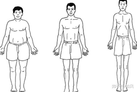 【身体篇】如何判断天赋体质 知乎