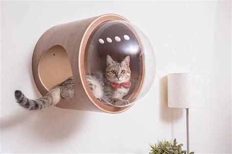 These Spaceship Cat Beds Will Turn Your Cat Into A Little Astronaut Demilked