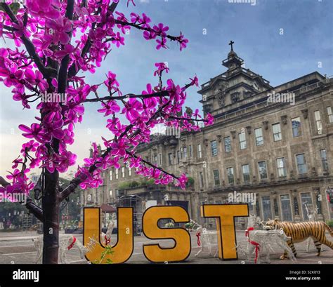 University of Santo Tomas, Manila Philippines Stock Photo - Alamy