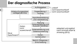 Auftraggeber Fragestellung Hypothesen Und Diagnostische Daten