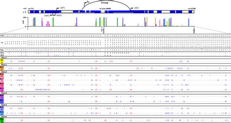 The Top Graphic Represents All Sequenced Nanobiopsy Variants Blue