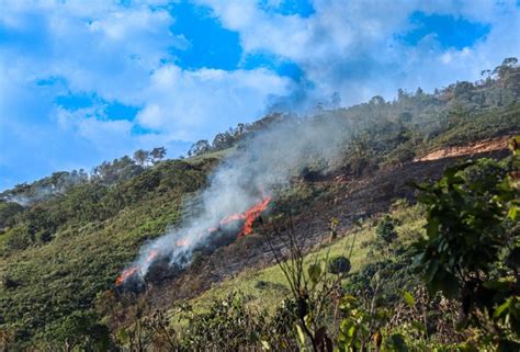 Arequipa Nuevo Incendio Forestal Se Registra En La Provincia De