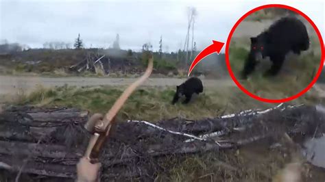 Terrifying Bear Encounters You Really Shouldn T Watch Part Youtube