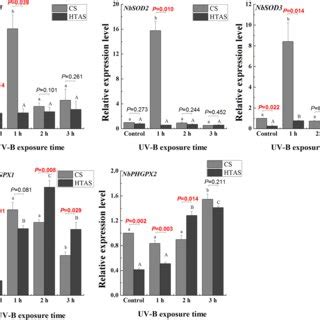 Transcript Expression Levels Of Five Antioxidant Enzyme Genes Of Two