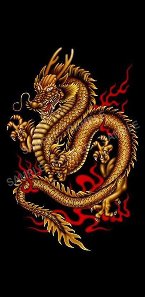 Golden Chinese Dragon Wallpapers Top Free Golden Chinese Dragon