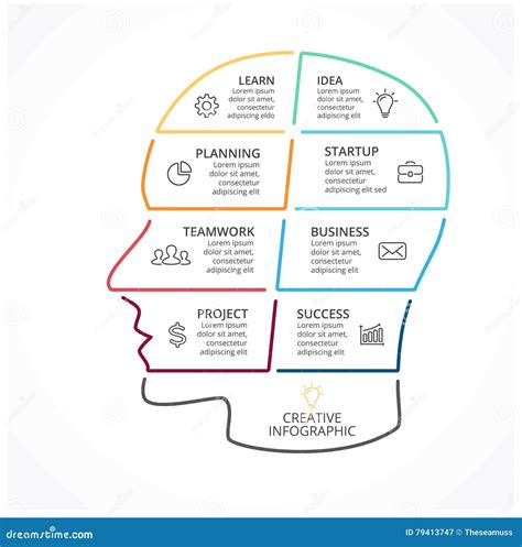 Infographic Lineare Del Cervello Di Vettore Diagramma Della Testa Umana