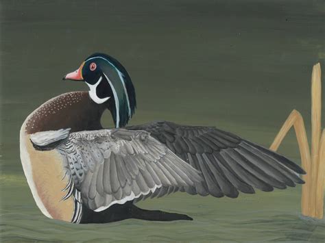 North Dakota Junior Duck Stamp Winners News Dakota